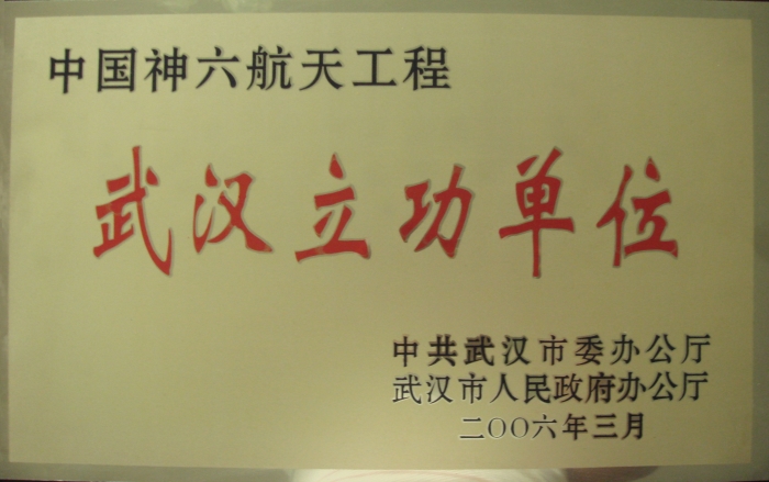 武漢市委、市人民政府表彰